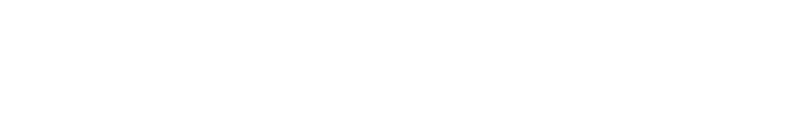 Velovid Software logo